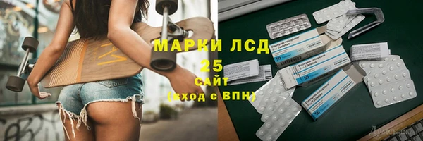 индика Баксан