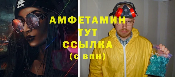 индика Баксан