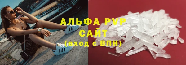 индика Баксан