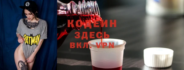 индика Баксан