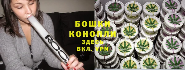 индика Баксан