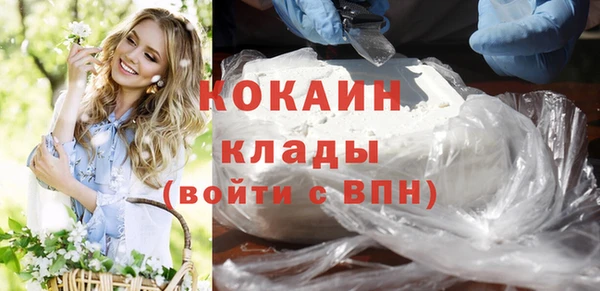индика Баксан