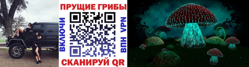 цена наркотик  Бежецк  Галлюциногенные грибы Psilocybine cubensis 